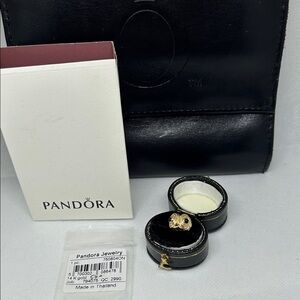 Pandora 14 K Gold and Black Onyx Clip charm